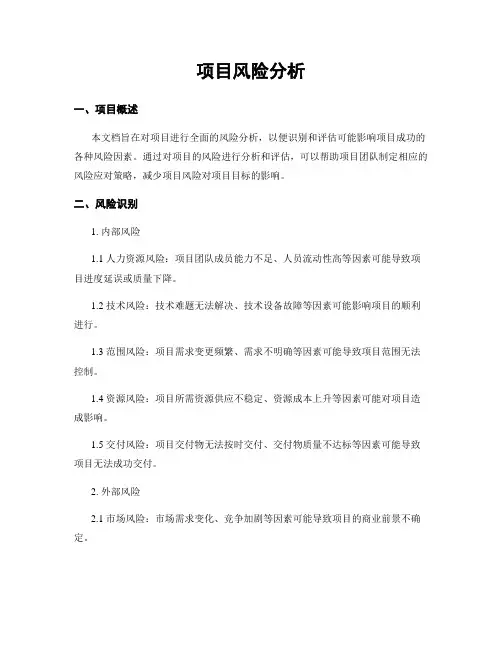 项目风险分析