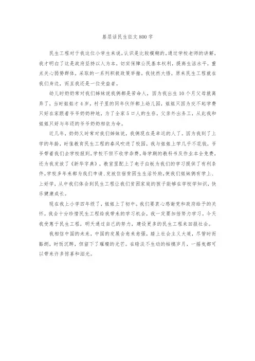 基层话民生征文800字