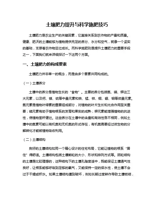 土壤肥力提升与科学施肥技巧