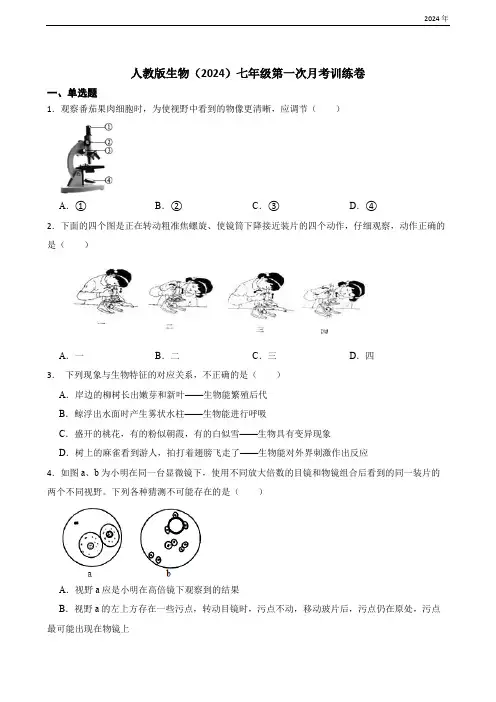 人教版生物(2024)七年级上册第一次月考训练卷(含答案)