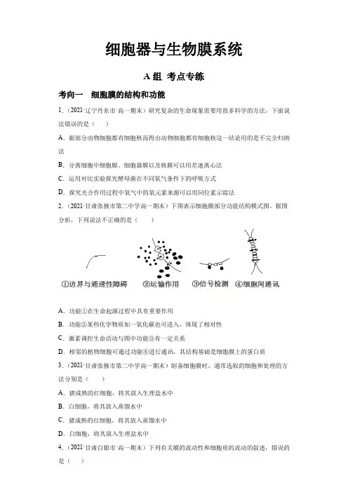 新高考生物细胞器与生物膜系统(分层训练)(原卷版)