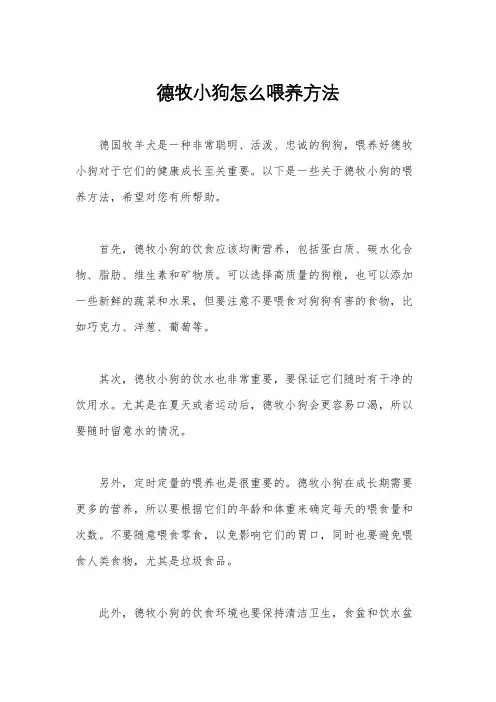 德牧小狗怎么喂养方法
