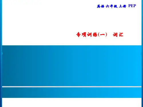 人教PEP版六年级上册英语习题专项训练(一)词汇