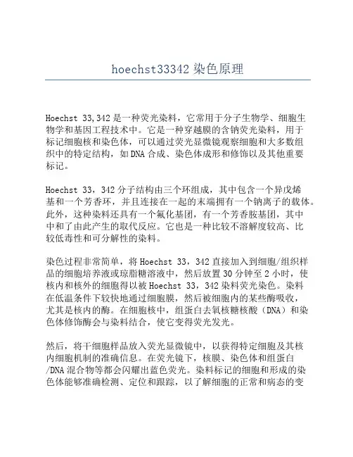 hoechst33342染色原理