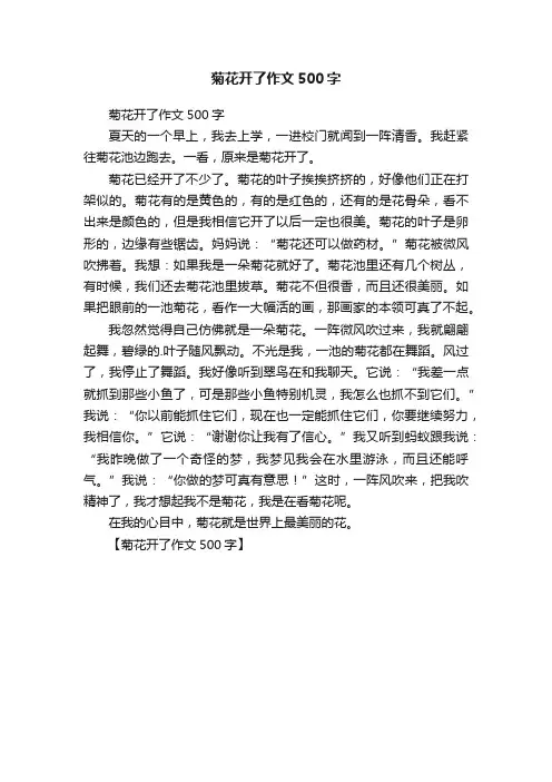 菊花开了作文500字
