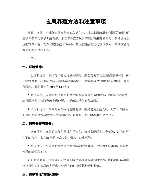 玄凤养殖方法和注意事项