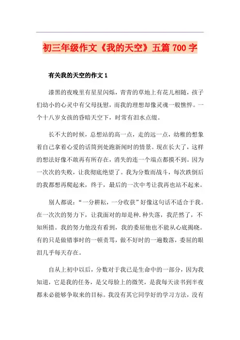 初三年级作文《我的天空》五篇700字
