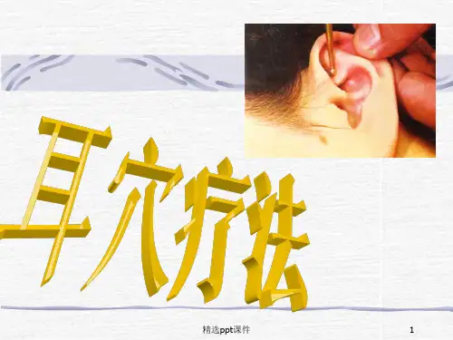 《耳穴疗法》PPT课件