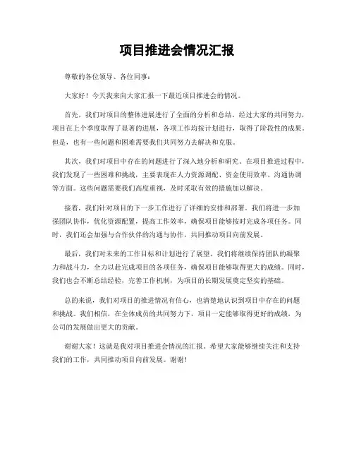 项目推进会情况汇报