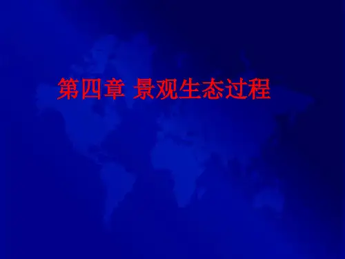 第四章景观生态过程解析