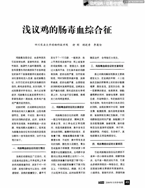 浅议鸡的肠毒血综合征