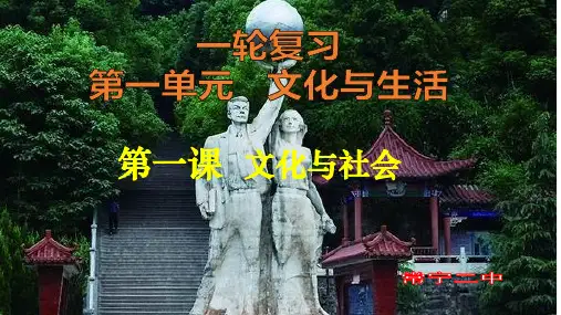 2020届高三政治第一轮复习文化生活第一课文化与社会(共32张PPT)