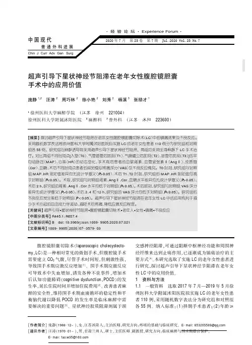 超声引导下星状神经节阻滞在老年女性腹腔镜胆囊手术中的应用价值