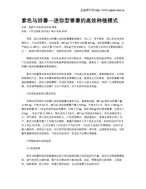 紫色马铃薯—迷你型番薯的高效种植模式