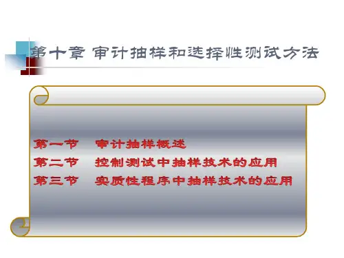 审计抽样和选择性测试方法