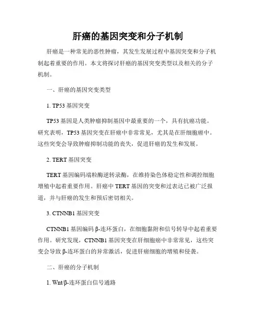 肝癌的基因突变和分子机制