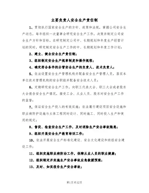 主要负责人安全生产责任制（5篇）