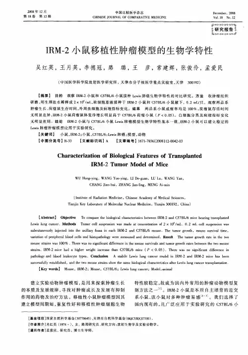 IRM-2小鼠移植性肿瘤模型的生物学特性