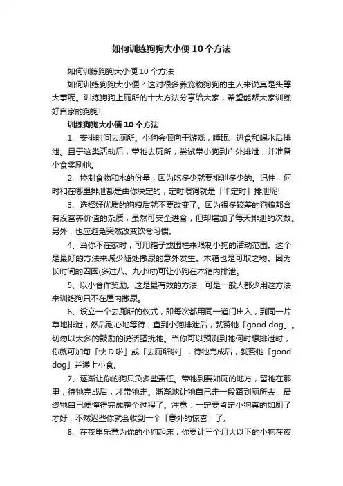 如何训练狗狗大小便10个方法