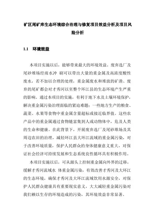 矿区尾矿库生态环境综合治理与修复项目效益分析及项目风险分析