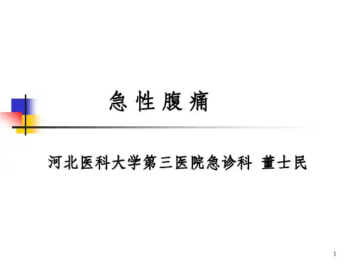 急性腹痛 ppt课件_OK