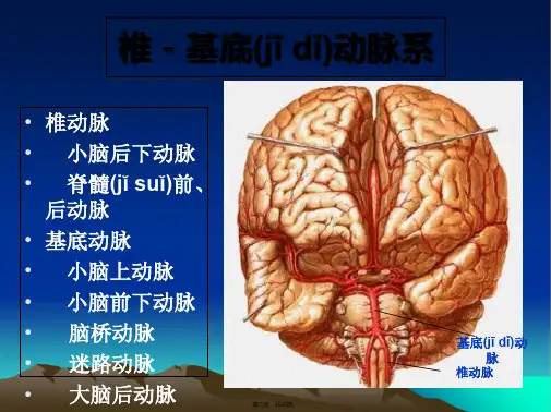 后循环缺血共20张PPT精选课件