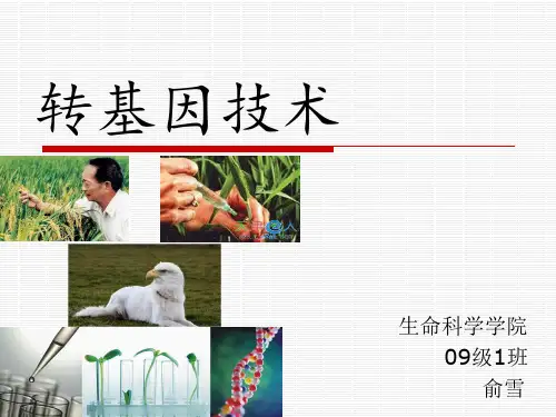 转基因技术.ppt