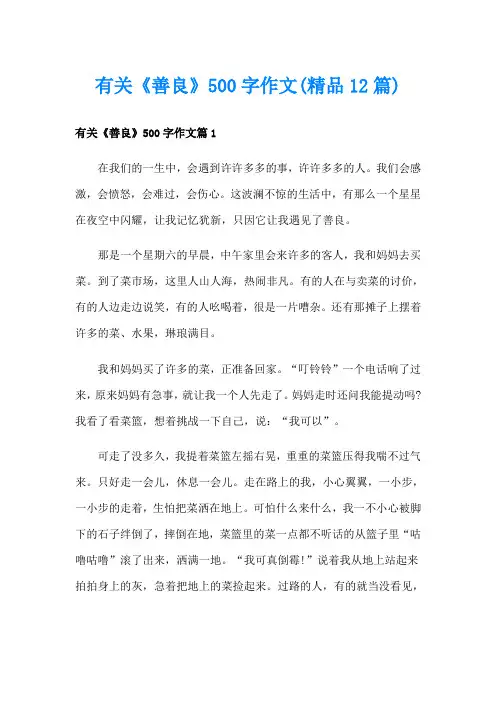 有关《善良》500字作文(精品12篇)