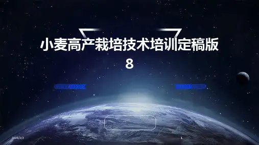 2024版年度小麦高产栽培技术培训定稿版8