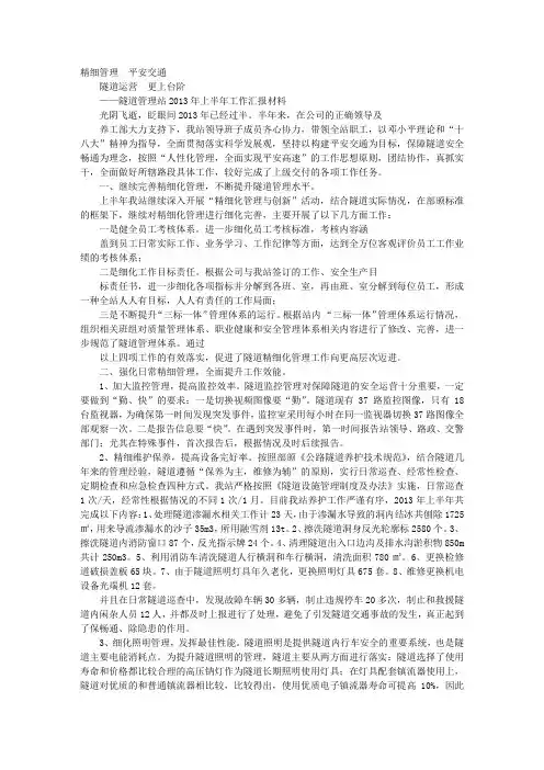 隧道汇报材料