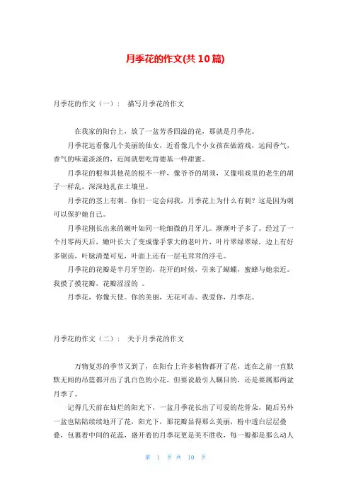 月季花的作文(共10篇)