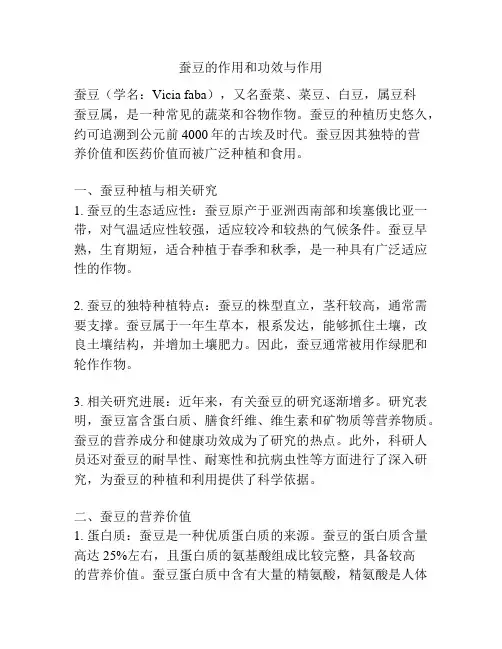 蚕豆的作用和功效与作用