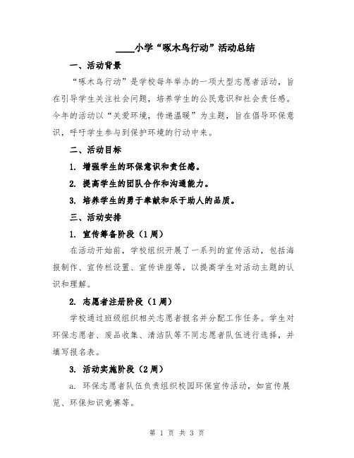 2024小学“啄木鸟行动”活动总结