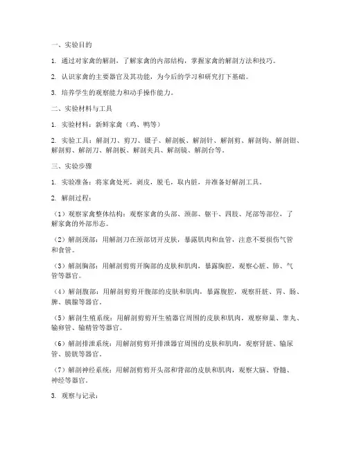 家禽解剖结构实验报告