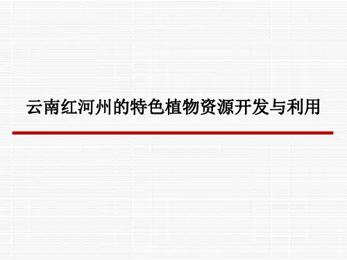 云南红河州的特色植物资源开发与利用