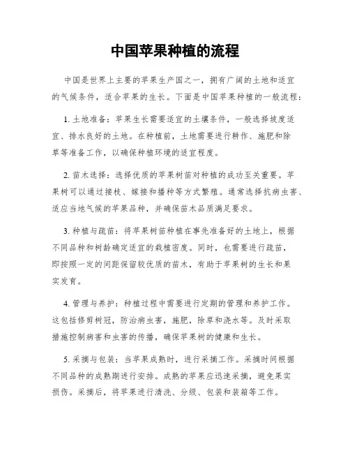 中国苹果种植的流程