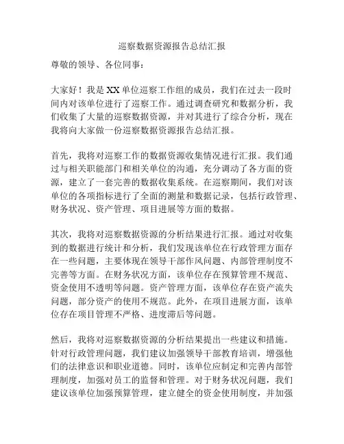巡察数据资源报告总结汇报