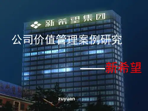 公司价值管理案例