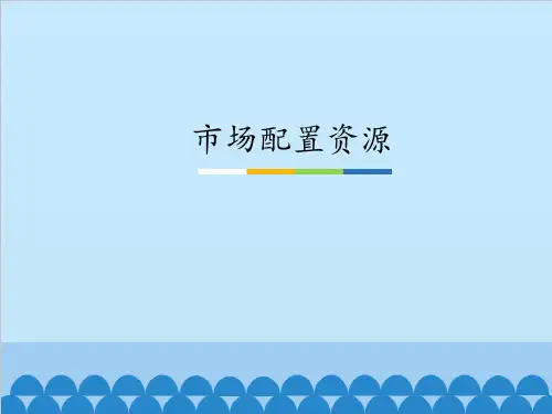 人教版高中政治必修一9.1市场配置资源