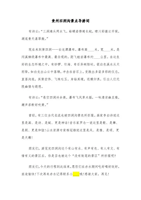 贵州四洞沟景点导游词（2篇）