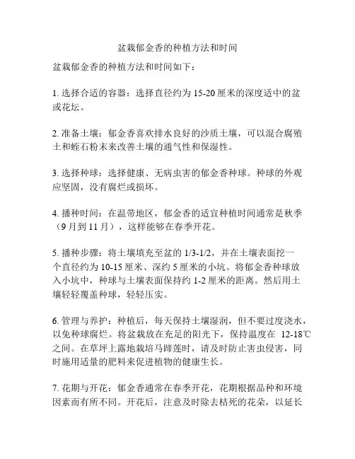 盆栽郁金香的种植方法和时间