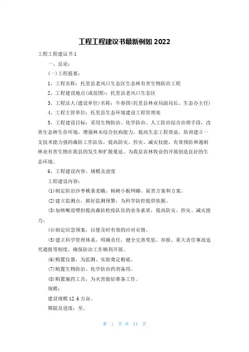 工程项目建议书最新示例2022