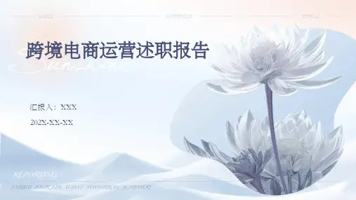 跨境电商运营述职报告PPT