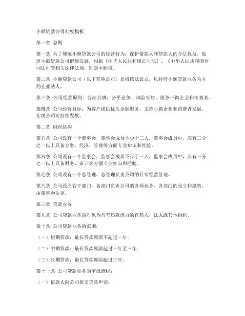 小额贷款公司制度模板