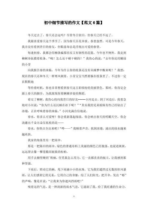 精选初中细节描写的作文【范文6篇】