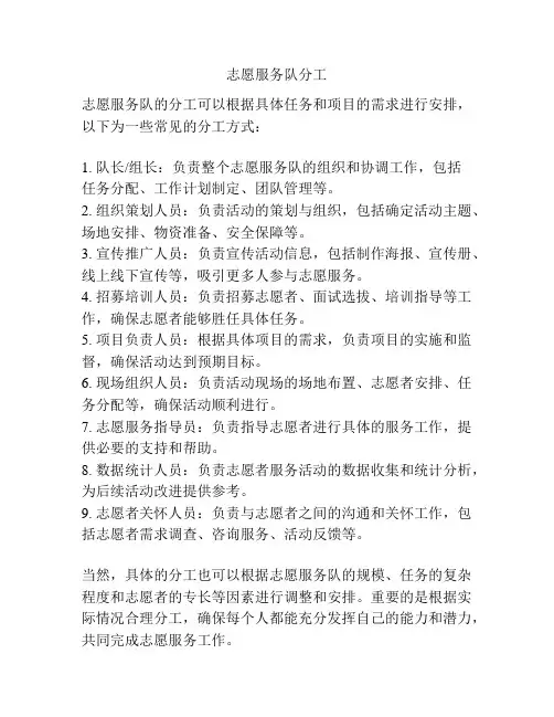 志愿服务队分工
