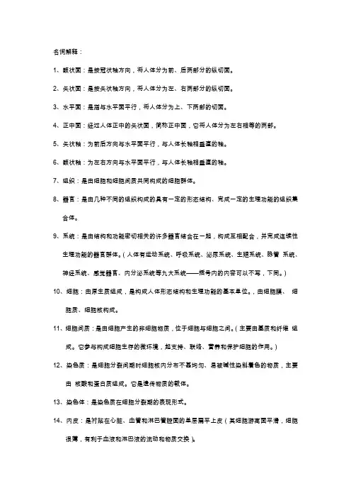 运动解剖学名词解释