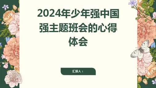 2024年少年强中国强主题班会心得体会
