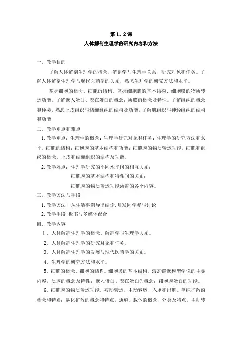 解剖教案