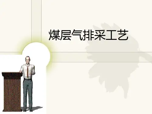 煤层气排采工艺